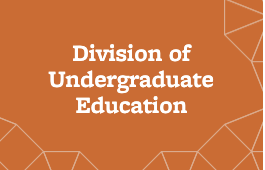 An orange square with the text Division of Undergraduate Education